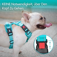 PoyPet Kényelmes, Fényvisszaverő Kutyahám Nagy Kutyáknak - Menta Kék, L Méret 2