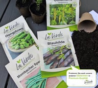 Chiba BIO zöld edamame szójabab vetőmag 4
