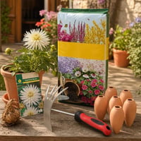 Dahlia set za sadnju: lukovica dalije + 20l zemlje + motika + kultivator + 6x keramički konus 1