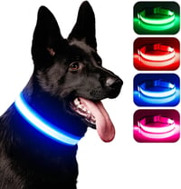 iTayga USB-s LED kutyanyakörv, kék, nagy méret, vízálló, 3 világítási mód 1
