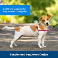 PetSafe Easy Walk Fekete Hámok Kutyáknak - Húzásgátló, Fojtásmentes S Méret + 1,8m Póráz 4