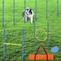Valuents Agility készlet kutyáknak - Slalom rudak, akadályok, ugrókeret - Kék/sárga + Frizbi 4