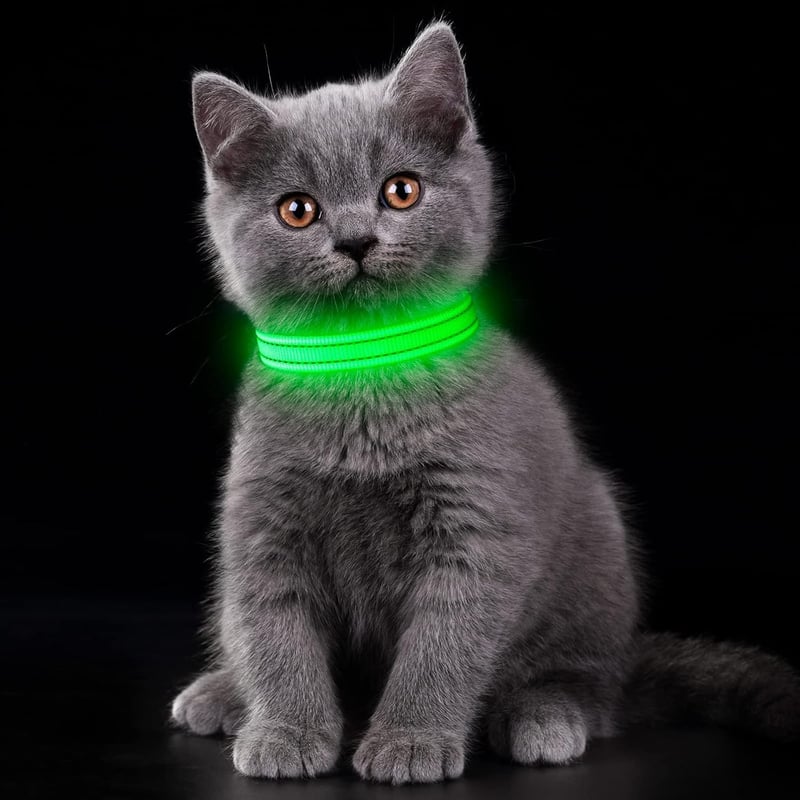 YFbrite USB-s világító nyakörv kutyáknak és macskáknak - Zöld, XS méret