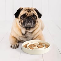 SPUNKYJUNKY Sötétzöld Kerámia Lassító Etetőtál Kutyáknak és Macskáknak, 21 cm 7