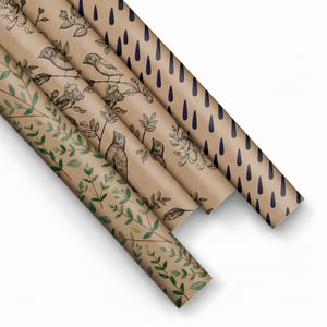 Set de hârtie de împachetat PAW Decor Collection 200 x 70 cm, hârtie de cadou cu model natur, 3 role (setul original de 5 role este incomplet)