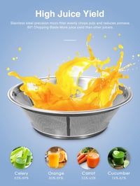 Reemix 800W-os rozsdamentes acél gyümölcs- és zöldségprés, 2 sebességgel 8