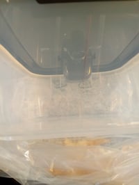Amazon Basics posuda za pohranu hrane za kućne ljubimce 15,8 kg + — neispravno, djelomično funkcionalno: slomljena veća posuda, nedostaju dijelovi (stanje: vidi 2. sliku) 5