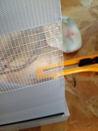 Sekey Dupla Roló Klemmfix Fúrás Nélkül 70x150 cm Szürke Duo Roló Ablakra — minimális szakadások a szöveten (állapot: lásd a 2. képet) 2