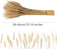 CoolCrafts 100 db Természetes Búzakalász Szárított Virág Dekorációhoz 2