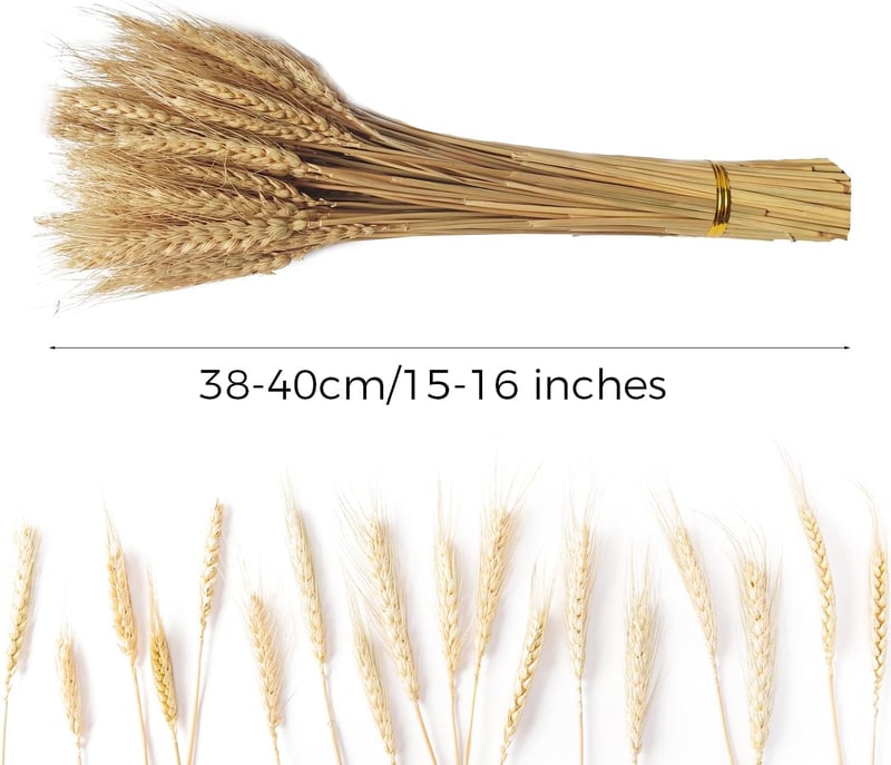 CoolCrafts 100 db Természetes Búzakalász Szárított Virág Dekorációhoz