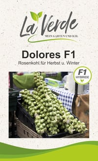 Dolores rózsalevél káposzta vetőmag 1