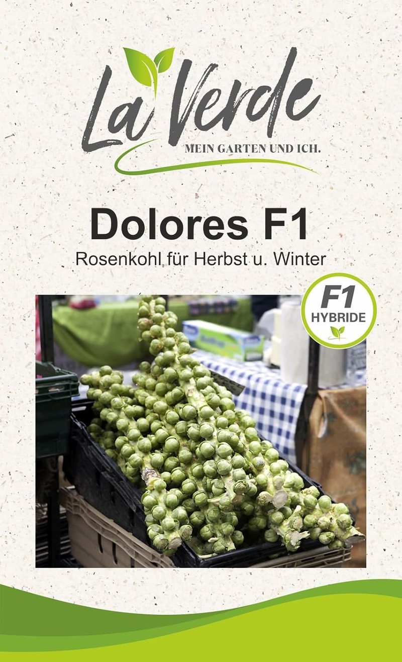 Dolores rózsalevél káposzta vetőmag