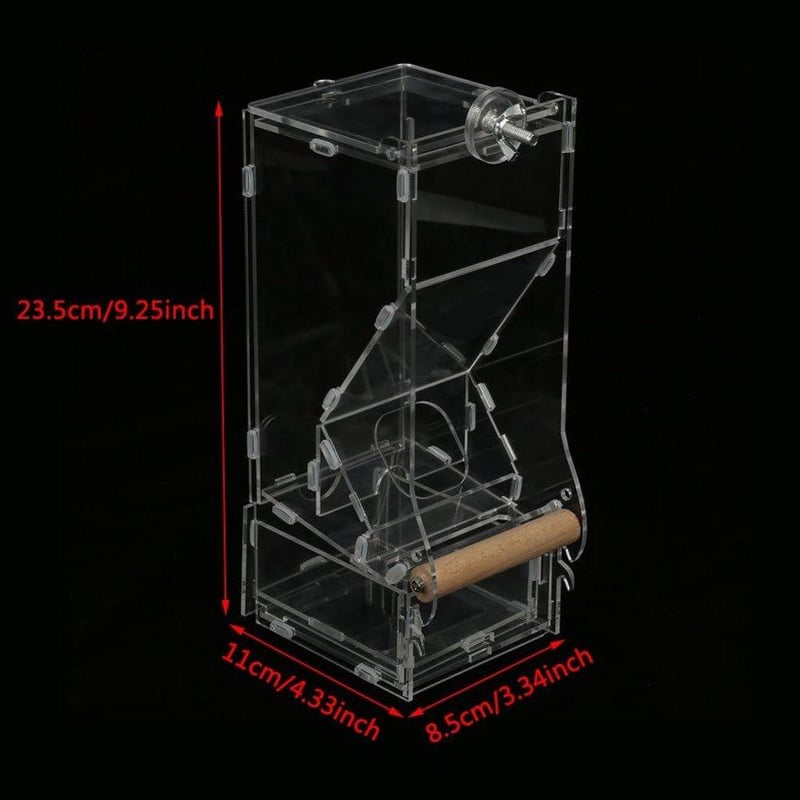 Átlátszó akril madáretető - Automata adagoló kismadarak részére
