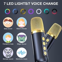 Hordozható Bluetooth Karaoke Rendszer 2 Vezeték Nélküli Mikrofonnal, 7 LED Fénnyel 4