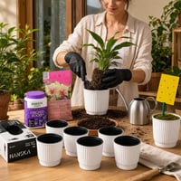 Növénydoktor kertcsomag: 100 db kesztyű + orchideaföld/táp + 500 ml kanna + 6 önöntöző cserép + 30 rovarlap 1