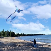 Pillangó Sárkány - 140x71cm Könnyen Repülő Egysoros Strandpapírsárkány Gyerekeknek és Felnőtteknek 5