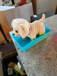 Cățeluș de pluș interactiv BABY Born My Dog Lucky cu 5 funcții, cu geantă de transport și accesorii, de la 3 ani, Zapf Creation 835869 3