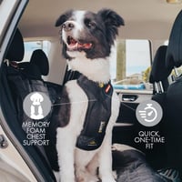 EzyDog autós biztonsági hámok kutyáknak - Ütközéstesztelt, fekete, M méret 5