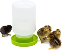 Happy Chickens Csirke és Fürj Etető-Itató Szett - 1kg Etetőtál és 1L Itató Kiscsibéknek 4