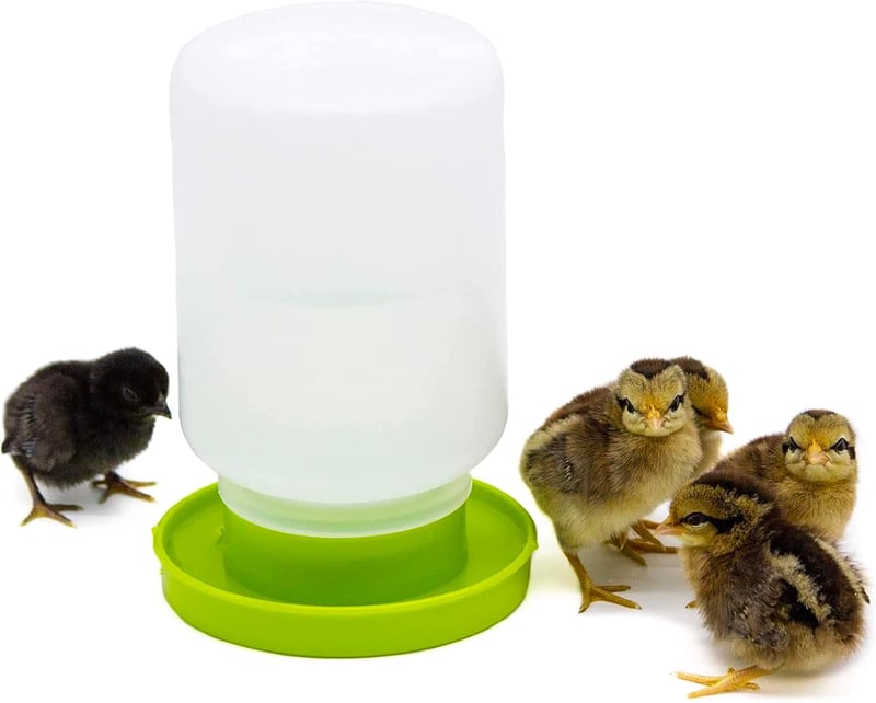 Happy Chickens Csirke és Fürj Etető-Itató Szett - 1kg Etetőtál és 1L Itató Kiscsibéknek