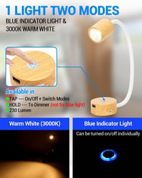 SUPAREE 12V LED lámpa lakóautóba, USB-vel, szabályozható, meleg fehér és kék fénnyel 5