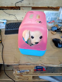 Cățeluș interactiv de pluș BABY Born My Dog Lucky, 5 funcții, cu lesă și geantă de transport, începând cu vârsta de 3 ani, Zapf Creation 835869 2
