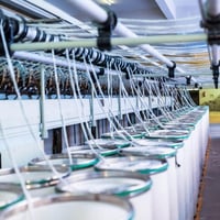 SRJQXH 12 mm-es Szilikon Tömlő - 3 Méteres Flexibilis Pneumatikus Cső Folyadékvezetéshez, Kerti Öntözéshez, Gáz és Folyadék Vezetékekhez, Fe 3