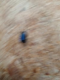 Luoran M4B USB-C töltőcsatlakozó alkatrész MP3 MP4 lejátszóhoz, donor termékből mentett eredeti csatlakozó 3