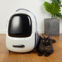 PETKIT Utazó Hátizsák Kutyáknak és Macskáknak - Beépített Ventilátorral és LED Világítással, Tágas Szellőzés, Könnyű Súly, Levehető Elemekke 9