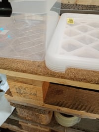 ATHLON TOOLS Kutija za pohranu s poklopcem 12,5 L Prozirna plastična kutija s poklopcem 1 kom. (Djelomični set, rabljeno) 6