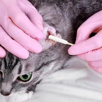 Ujjra Húzható Kutyafogkefe Szett Szilikonból, Tisztítópálcikákkal 2