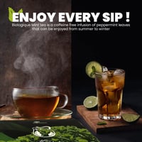 BIOLOGIQUE Prémium Méregtelenítő Mentatea - 40db Koffeinmentes, Antioxidáns Teafilter 6