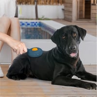 Cleanpet Öntisztító Kefe Rövid Szőrű Kutyáknak és Macskáknak - Kék 2