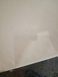 Masă de grădină pliabilă Relaxdays, 75x220x68 cm, albă, plastic și oțel — urme de uzură, pete și o mică îndoitură (stare: vezi a 2-a imagine) 5