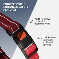 CollarDirect Állítható Martingale Kutyanyakörv Reflektív Szíjjal és Fogantyúval 3