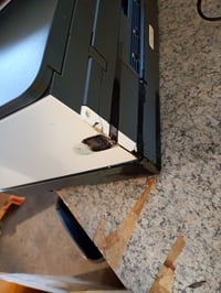 HP Smart Tank 7305 višenamjenski tintni pisač, skener, kopirni uređaj, ADF — razlivena tinta na stražnjoj strani (stanje: vidi 2. sliku) 3