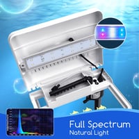 Nobleza 7 literes nano akvárium LED világítással és szűrővel, fehér 2
