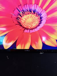 Smart Tech 43FV02V 43-inčni Full HD Smart TV s operativnim sustavom VIDAA — bez daljinskog upravljača (stanje: vidi 2. sliku) 4