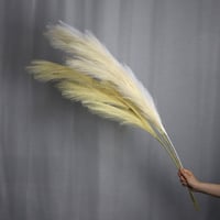 Sötét Krém Nagy Méretű Mesterséges Pampafű - Boho Esküvői és Otthoni Dekoráció 3