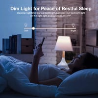 SONOFF D1 WiFi okos fényerőszabályzó LED és izzókhoz, Alexa és Google kompatibilis 3