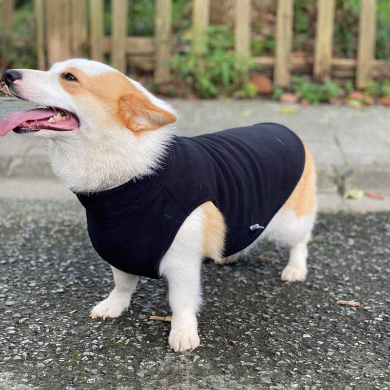 Fekete Polár Kutyamellény S - Meleg Téli Kutyakabát Újracsomagolva