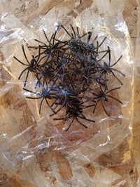 Pavučina 60 g, malý pavúk, 200 cm, čierna – zo súpravy, bez dekorácie obrieho pavúka — obrí pavúk nie je súčasťou balenia (stav: pozri 2. obrázok) 4