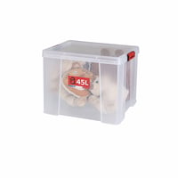 Sundis Clip'N Store Plastový úložný box s vekom 45 l, priehľadný, so západkami, 1 ks 2