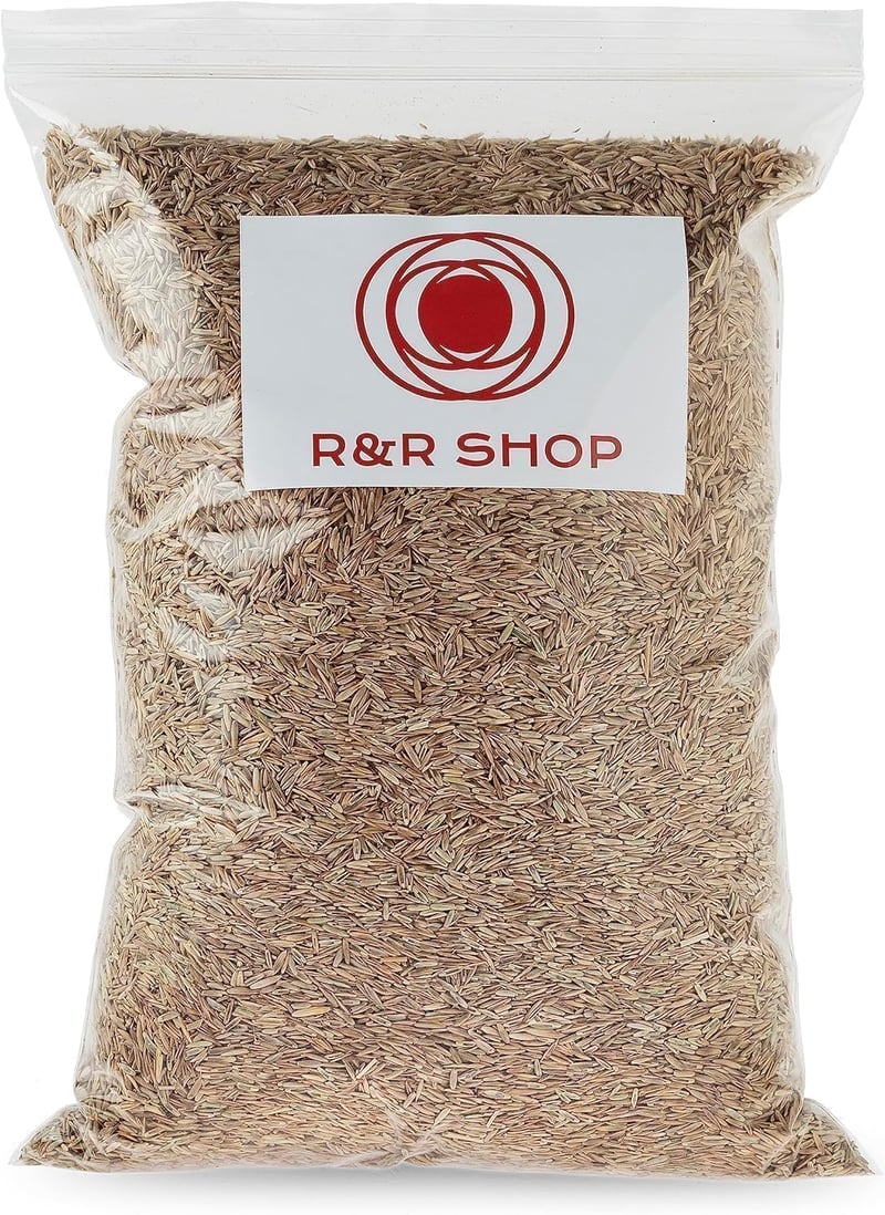 Tartós Festuca Arundinacea fűmag 500g - 20m² területre, R&R SHOP