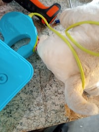 BABY Born My Dog Lucky interaktív plüss kutya játék 5 — hibás, részben működik: törött jobb hátsó láb (állapot: lásd a 2. képet) 4