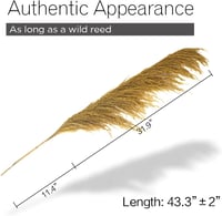 penepico Arany Pampafű Dekoráció 110cm - 4 db Magas Természetes Hatású Szárazvirág, Boho Lakásdekoráció Vázába, Esküvői Dekorációhoz 7