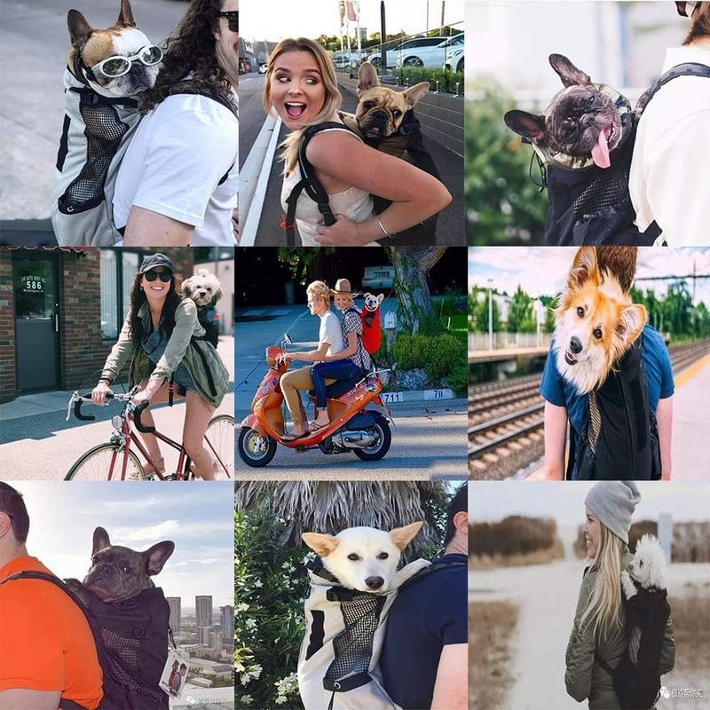 WLDOCA Szürke Kutyahordozó Hátizsák 10kg-ig - Lélegző, Összecsukható, Motorozáshoz, Túrázáshoz