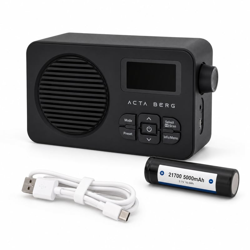 Radio DAB+ Acta Berg cu baterie detașabilă de 5000 mAh, Bluetooth — defect, pentru piese: difuzorul nu funcționează (stare: vezi poza a 2-a)