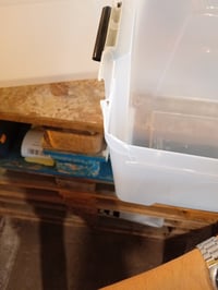 Cutie de depozitare cu capac Iris Ohyama BSB-50, 45L, set de 4 bucăți, transparentă, stivuibilă, cu mânere — 3 cutii au colțurile rupte (stare: vezi a 2-a fotografie) 5