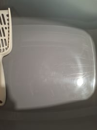 Amazon Basics Litiereă Deschisă Mare pentru Pisici cu Lopățică, Alb/Gri, 50,5 x 38 x 20 cm, Ușor de Curățat, Utilizat 3